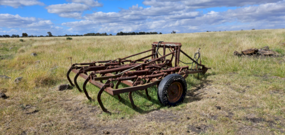 Massey Ferguson 19 Tyne Scarifier