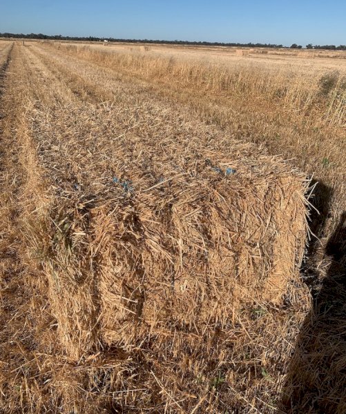 "Price Reduced" 300mt Oaten Hay 8x4x3 Bales