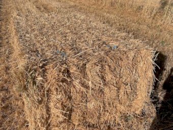 "Price Reduced" 300mt Oaten Hay 8x4x3 Bales