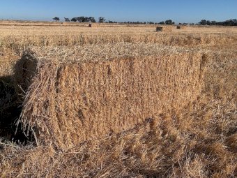 "Price Reduced" 300mt Oaten Hay 8x4x3 Bales