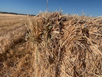 "Price Reduced" 300mt Oaten Hay 8x4x3 Bales