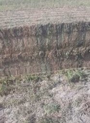 2023 Season Vetch Hay