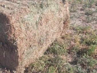 2023 Season Vetch Hay