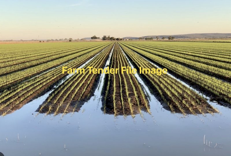 1150 Acre Irrigation Farm for Lease