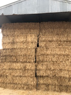 270mt Clover Rye Hay 600kg 8x4x3 Bales