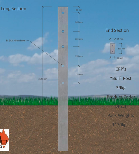 Concrete Bull Post