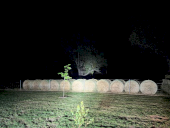 20 x Oaten Hay 4x4 Round Bales