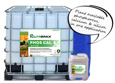 NutriMAX PhosCal