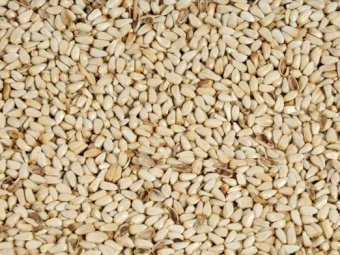 Safflower Bulka Bags