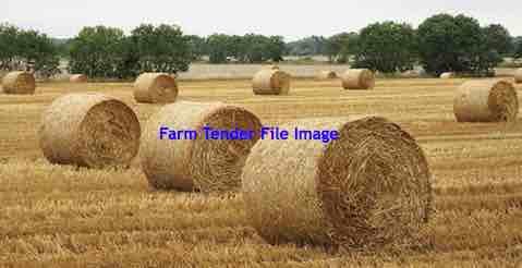 Barley Straw Rolls Can Deliver