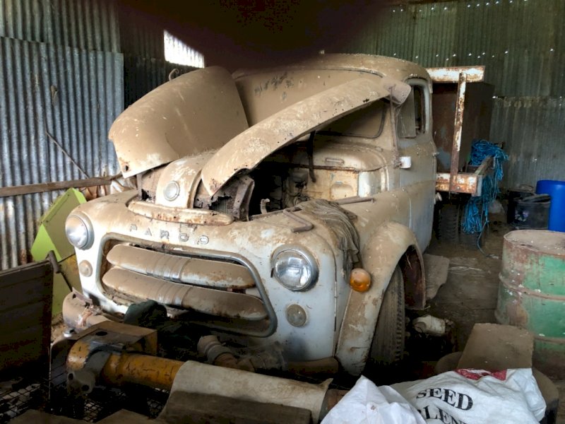 1956 Dodge Fargo