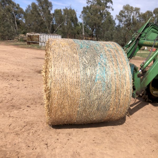 50 Oaten/Ryegrass Hay Rolls