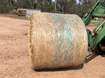 50 Oaten/Ryegrass Hay Rolls