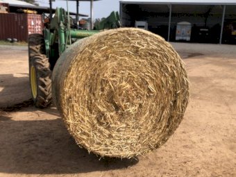 50 Oaten/Ryegrass Hay Rolls