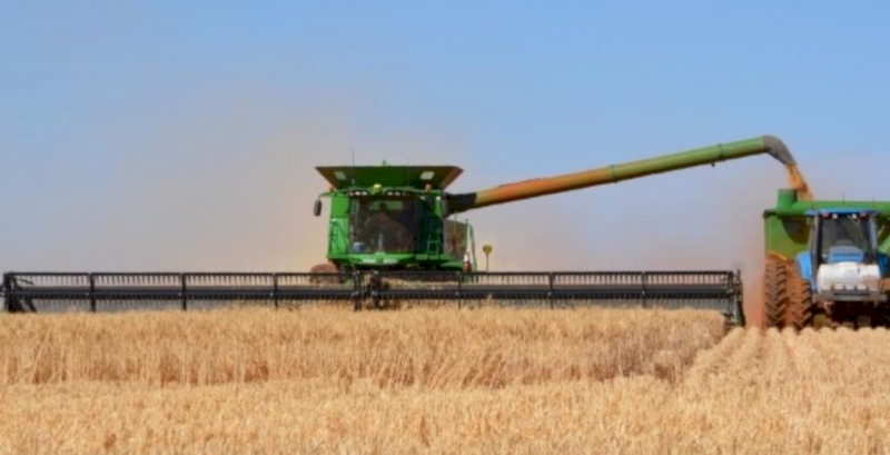 WANTED Harvesting in Skipton Area
