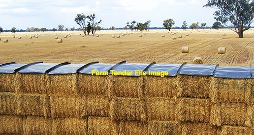 100 ton  Barley Straw 500kg 8x4x3 Bales