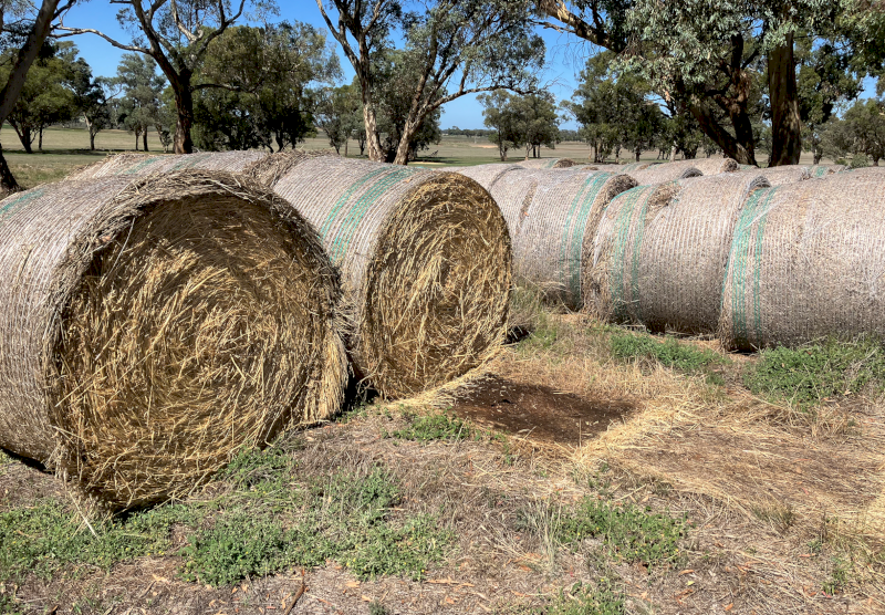 Oaten & Barley Hay Rolls