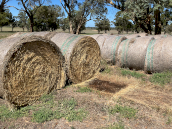 Oaten & Barley Hay Rolls