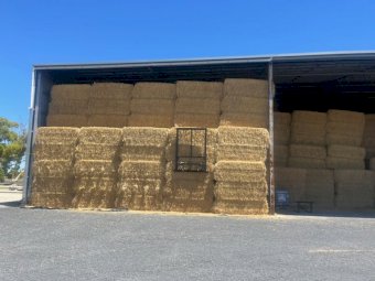 450MT Oaten Hay 550kg 8X4X3 Bales