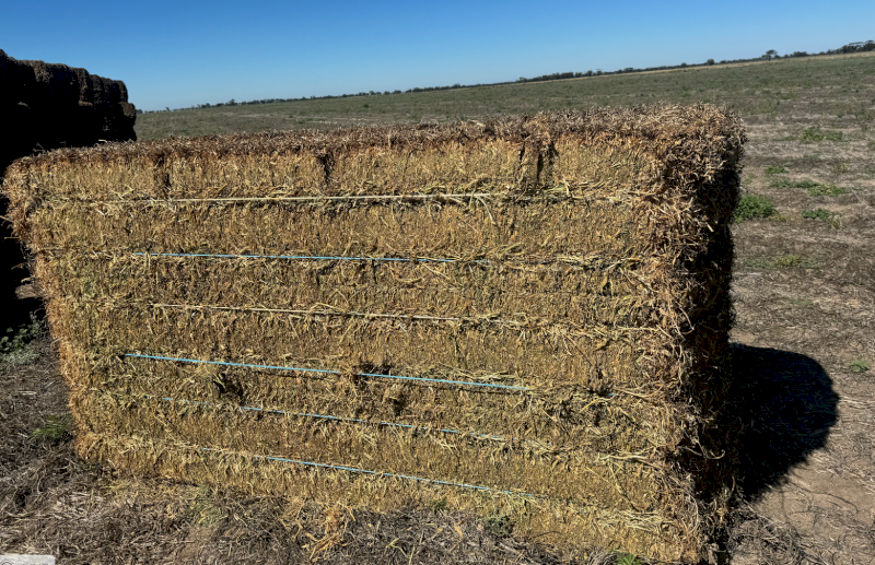 Vetch Hay 630kg 8x4x3 Bales