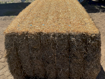 Vetch Hay 630kg 8x4x3 Bales