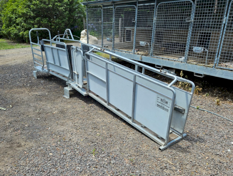 Hecton Sheep Handler with 3 way draft