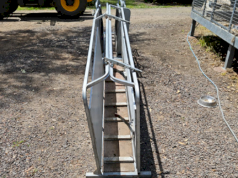 Hecton Sheep Handler with 3 way draft