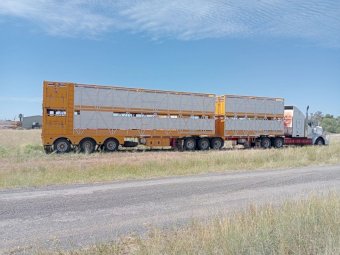 2014 Truck Art B Trailer Stock Crate