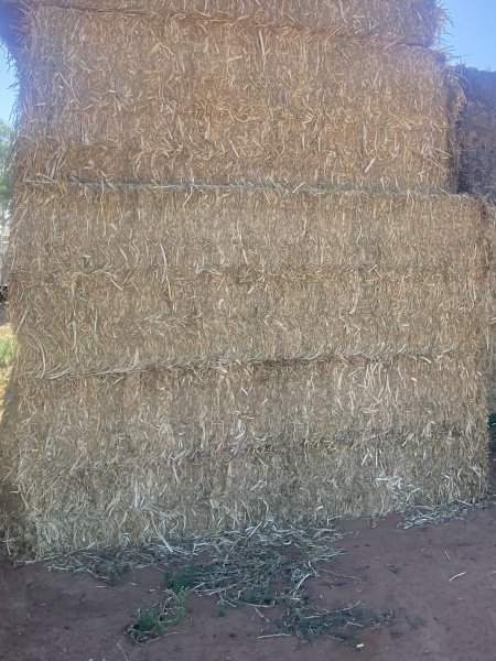 23/24 Season Vetch Hay