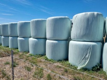 450 x Clover/Rye Grass Hay 5X4 Round Bales