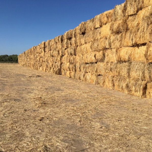 1500mt Oaten Hay 550kg 8x4x3 Bales