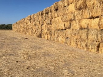 1500mt Oaten Hay 550kg 8x4x3 Bales
