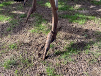 AFM 45ft Seeder Bar