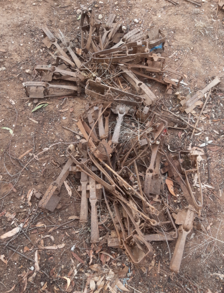 Rabbit Traps