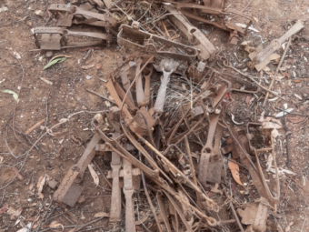 Rabbit Traps