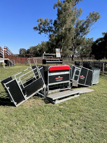 Combi Clamp - Sheep and Lamb Handler - As new Condition.
