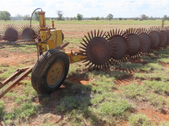 WANTED Western 7 Stick Rakes x 2