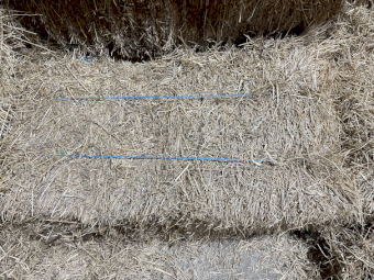 800 x  Rye & Clover Hay Small Squares