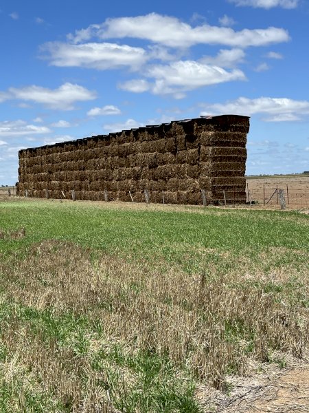 40mt Vetch Hay 650kg 8x4x3 Bales