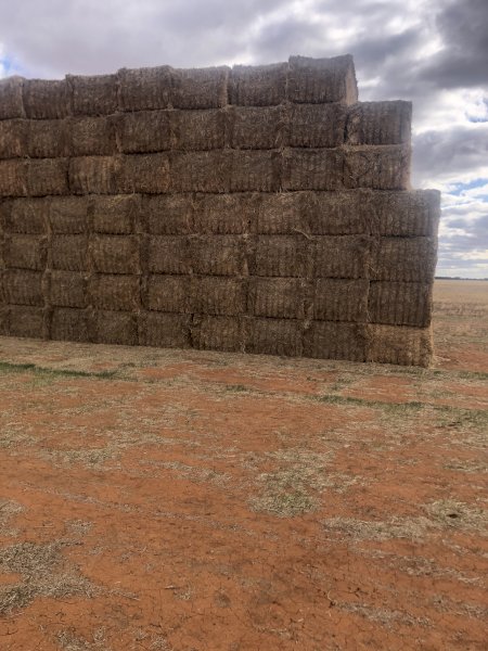 350 x Oaten Hay 8x4x3 Top Bales