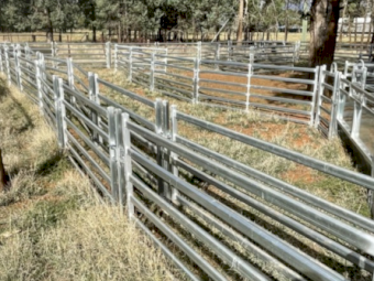 1200 head Sheep Yards