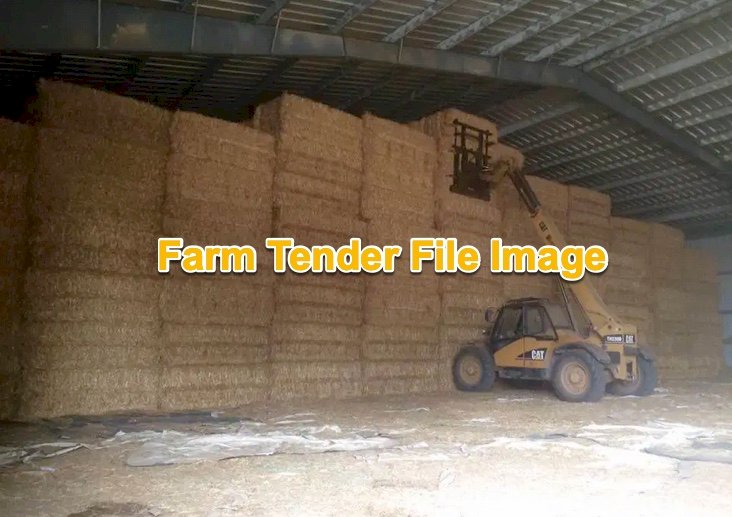 78 x Wheaten Straw 500kg 8x4x3 Bales