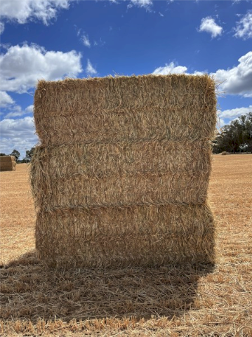 60mt Oaten Hay 650kg 8x4x3 Bales