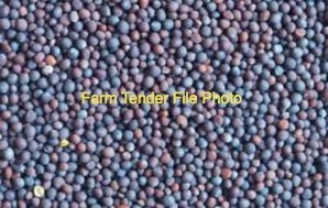 27mt Feed Canola