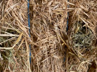 200mt Oaten Hay 8x4x3 Bales