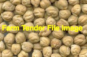 53mt Kabuli Chickpeas Screenings