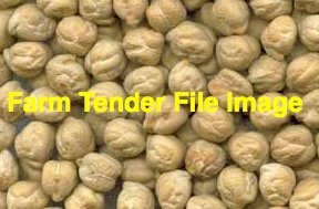 53mt Kabuli Chickpeas Screenings