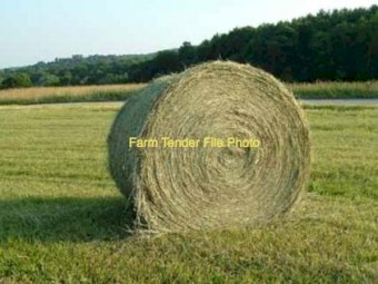 100 x Sub Clover Tops Round Bales