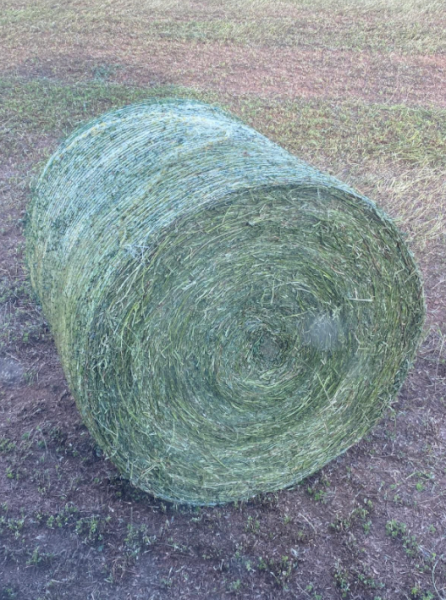 96 x Lucerne Silage 4x4 Rolls