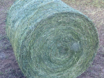 96 x Lucerne Silage 4x4 Rolls